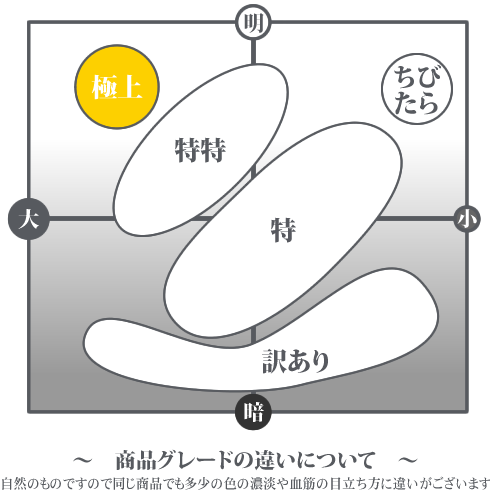 商品グレードの違いについて（極上）