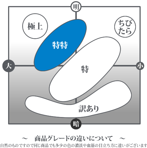 商品グレードの違いについて（特特）