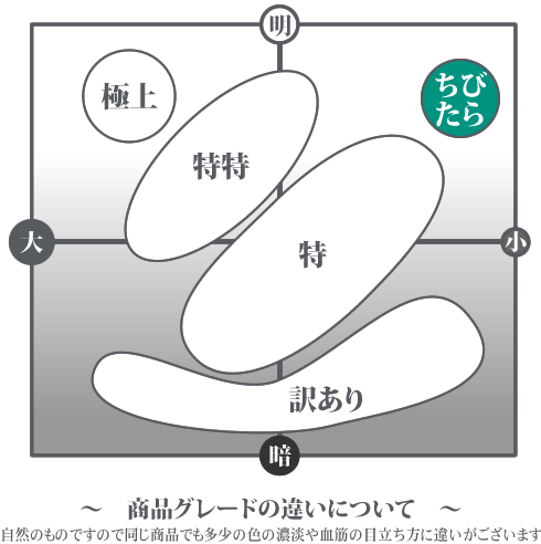 商品グレードの違いについて(ちびたら)