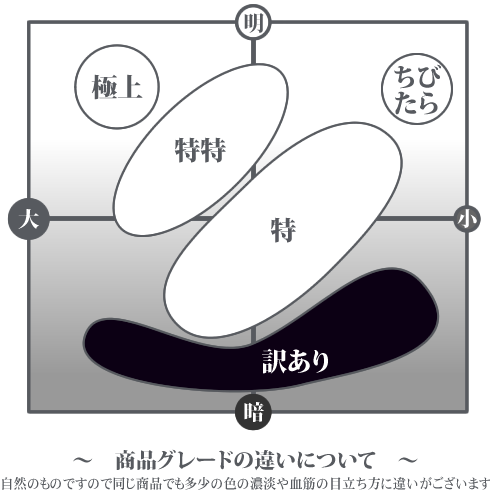 商品グレードの違いについて（訳あり）